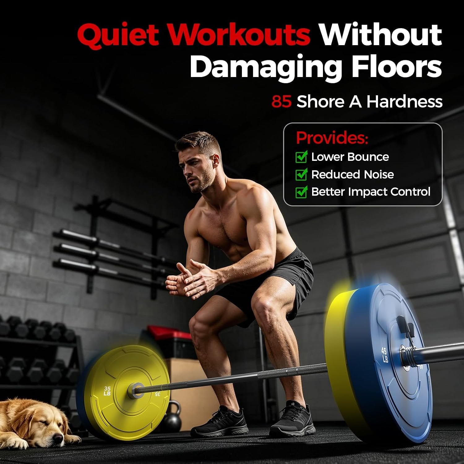 2-Inch Olympic Bumper Plates Set, 2pcs-35lb Colored Virgin Rubber Weight Barbell Plates for Strength Training, Home Gym Weightlifting